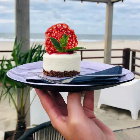 Taartenzo raspberry cheesecake mini